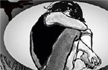 Nine-year-old blind girl raped in government school